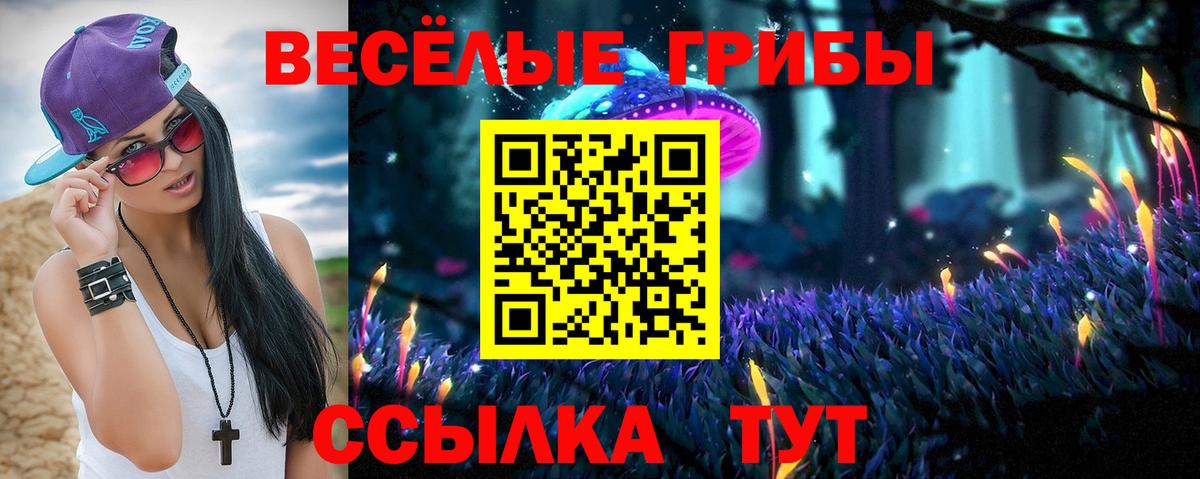 что такое наркотик  Псилоцибиновые грибы GOLDEN TEACHER  Вход с VPN  Сунжа 