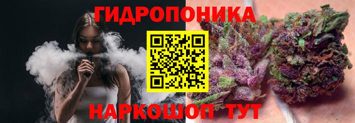 Конопля MAZAR Сунжа